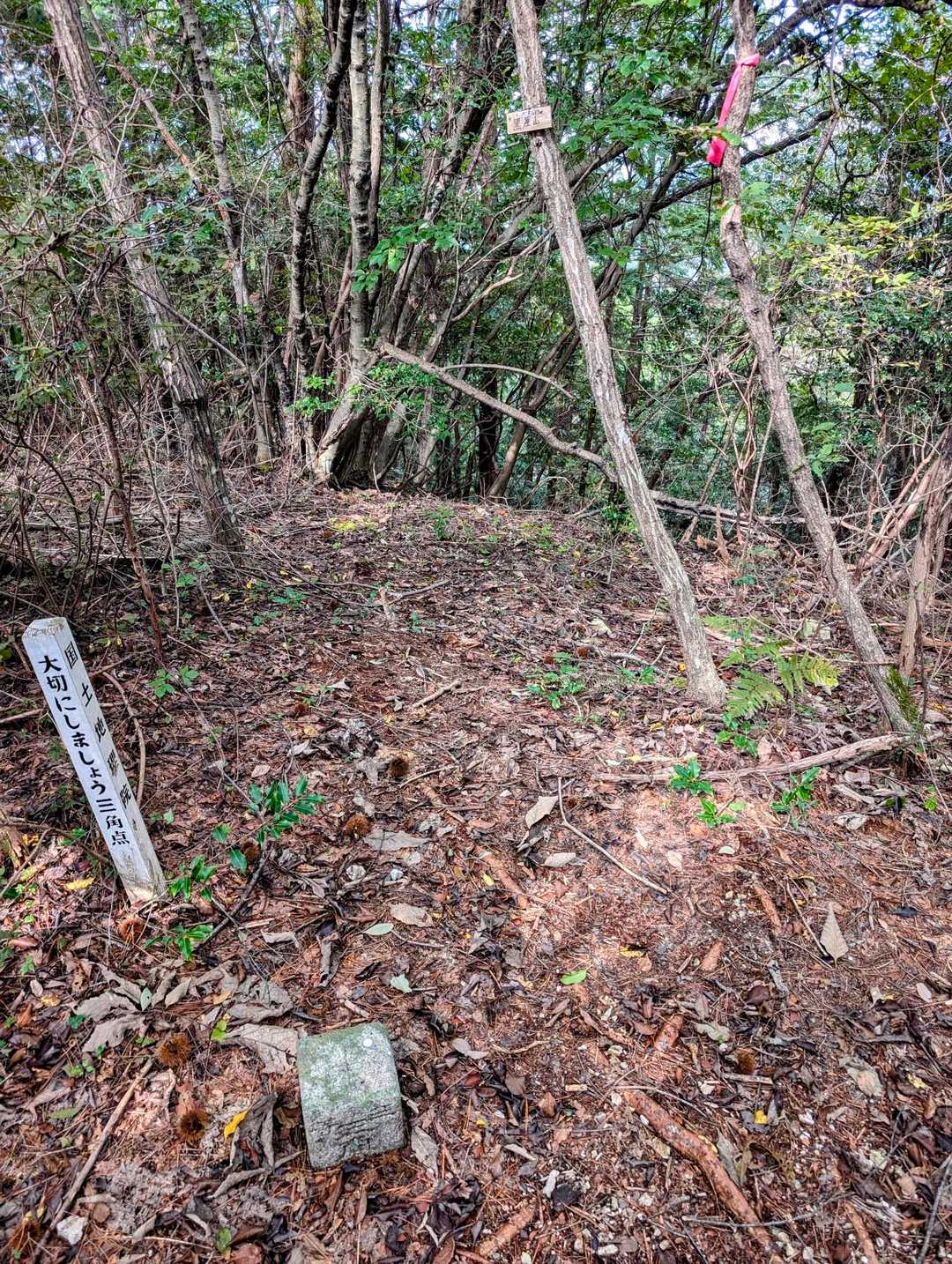 残念ながら眺望はありません😢
丁度お昼でお腹空いてたのですが、折角なので眺望の良い岩場まで戻って頂きます。