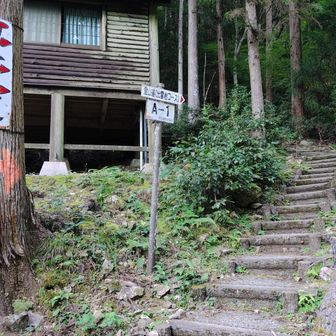 無事に下山致しました❗⛰️😆

一時はどうなるかと思いましたが💦
なにはともあれ無事にケガも無く‼️

良かったです✌😄④