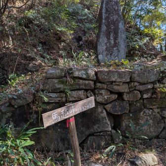 馬越峠に到着、天狗倉山に向かいます