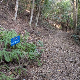 比較的歩きやすい