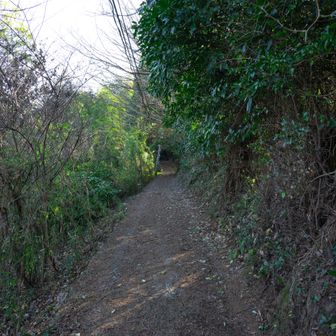 山の中も舗装路