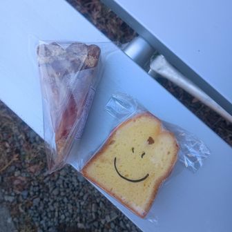 ヤビツ峠の売店で購入。りんごのタルトとレモンケーキ。
レモンケーキは次の山行に持って行く予定。