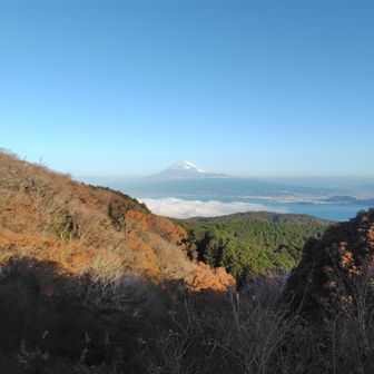 今日は、無風で気持ち良く歩けました🙌