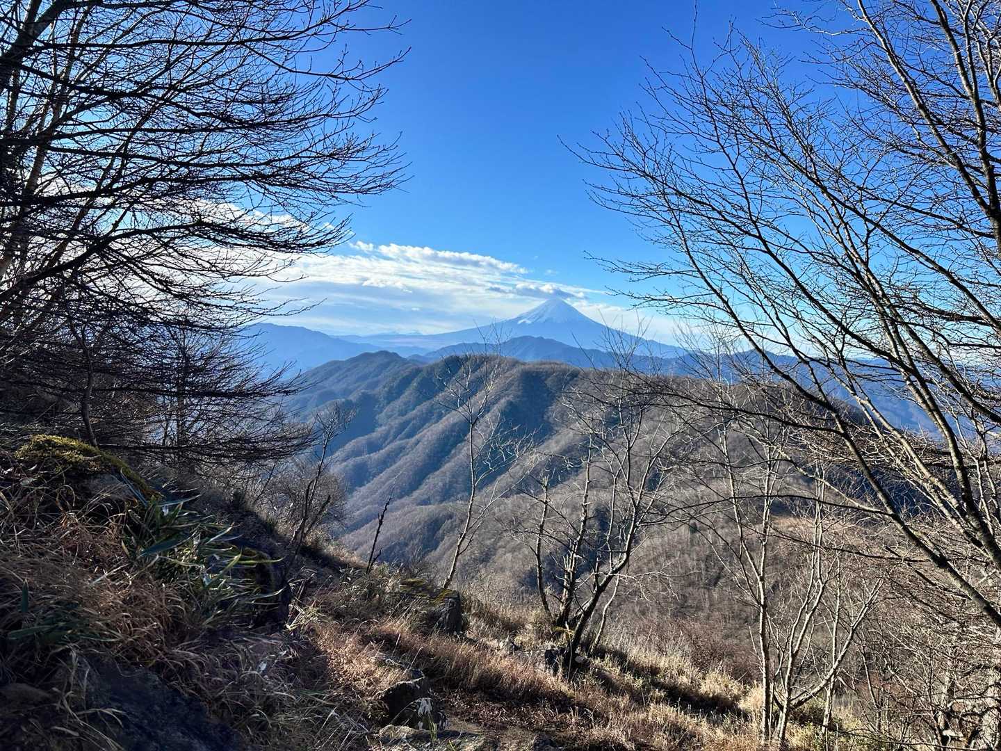 富士山見えてきた！