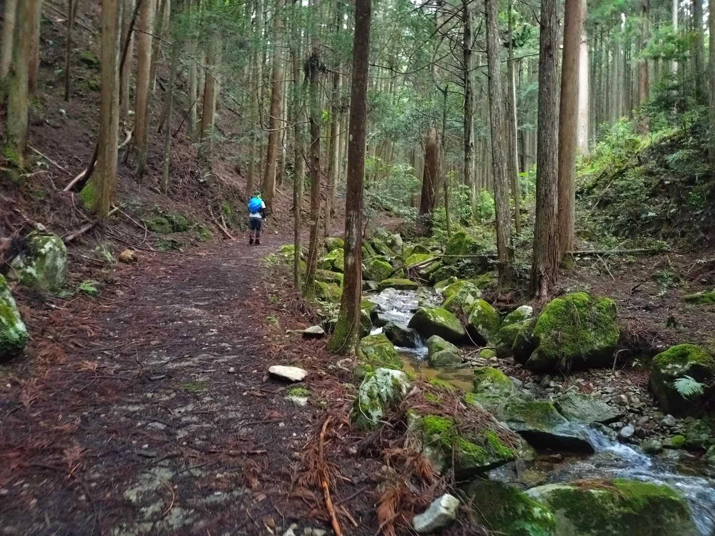 竜門岳 往復コースの地図・登山ルート・登山口情報 | YAMAP / ヤマップ