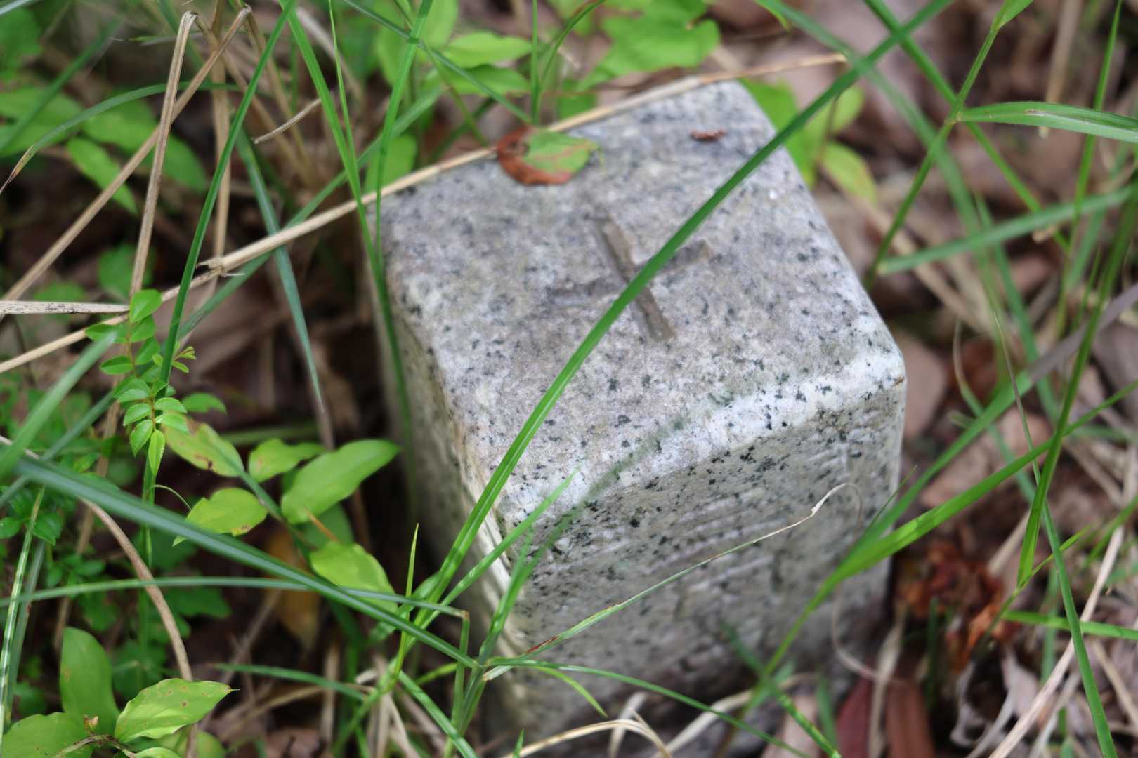 山頂にも三角点があったけど、ここに三角点を置く必要あります？