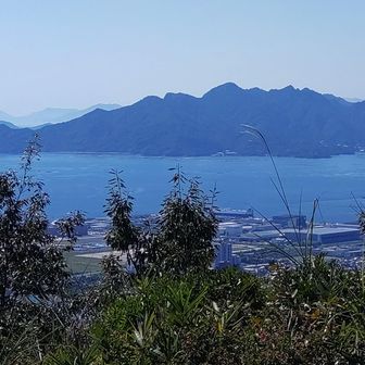 また東峰に戻って、
歩き足りない気がするので、石碑まで行く