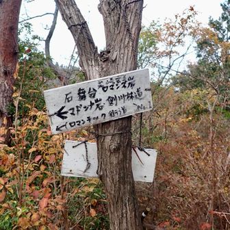ここは前回きた🩶ケンメイ山
ここからロマンチック街道へ