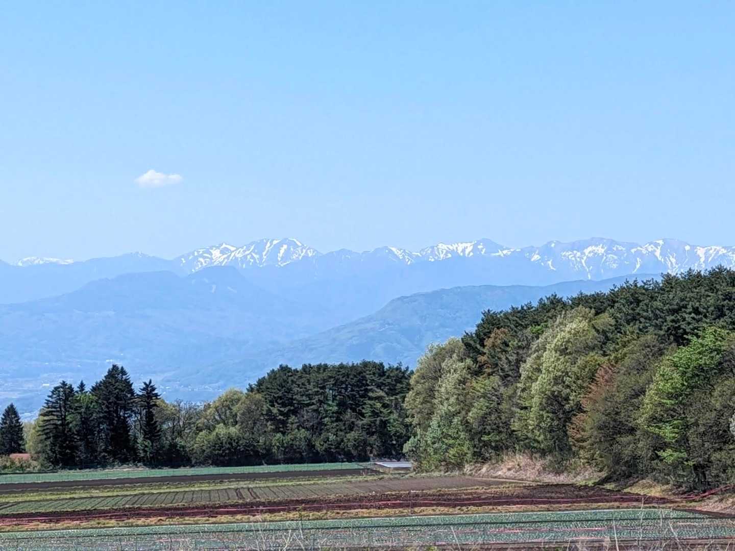 冠雪している谷川方面の山です
ステキな景色ですᨒ𖡼.𖤣𖥧