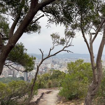 こっちから降りようと思ったけど