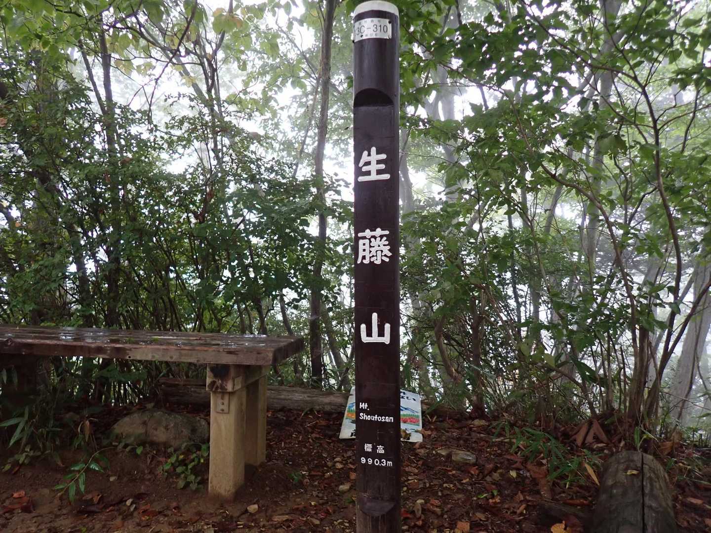 はい到着！
木に囲まれて眺望はなく、薄暗い。
やはりベンチは濡れていて座れず。