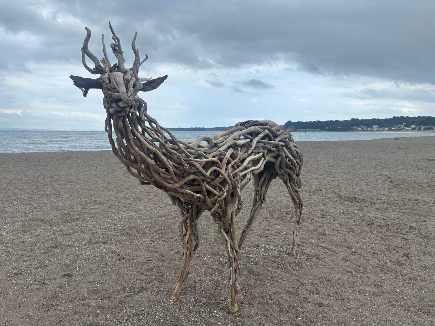 流木アート🦌@三浦海岸 有休の今日。定 / まもるさんのモーメント