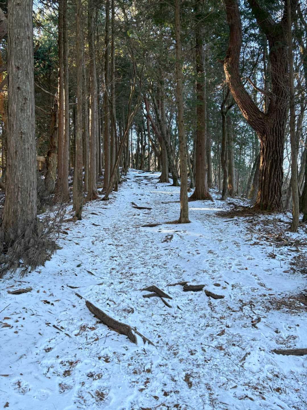 雪も薄らと、気持ち良いです