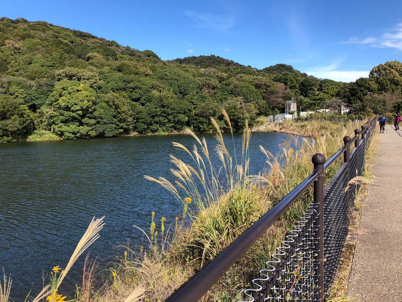 駐車場横の貯水池の周りをぐるっと。