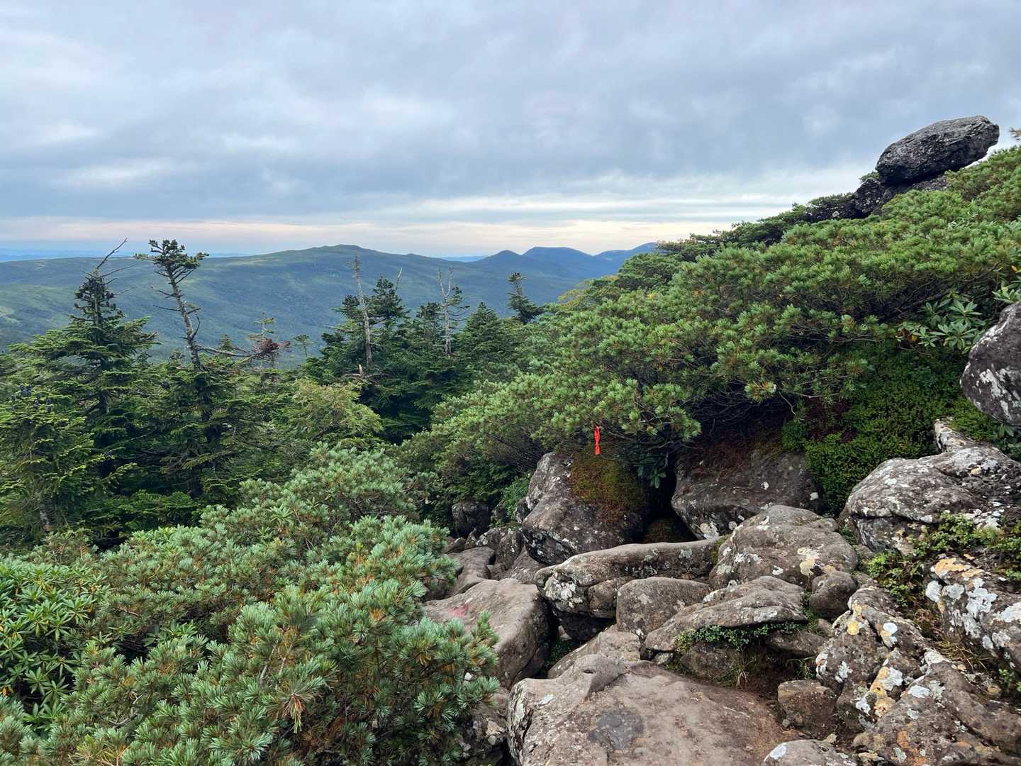 西吾妻山登山口-西吾妻山-天元台つがもりリフト 往復コースの写真