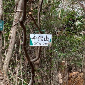 五月山の三角点は日の丸🇯🇵展望台の横