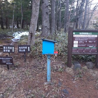 杣添尾根登 山口に戻ってきました🐸