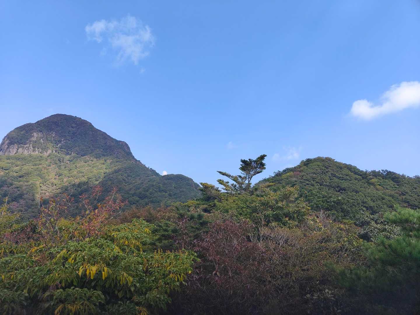 黒木登山口-経ヶ岳-舞岳-舞岳・経ヶ岳登山口 周回コースの写真