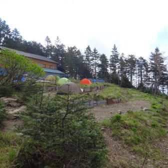 蝙蝠岳は、ここに幕営するしかないか？