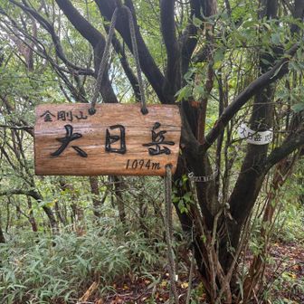 大日岳⛰️