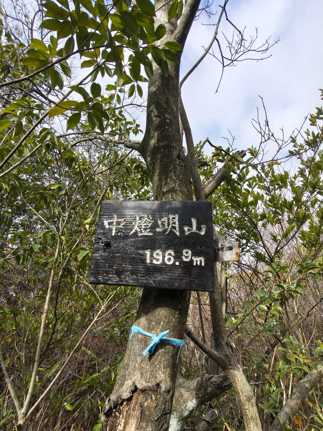 ハイ登頂