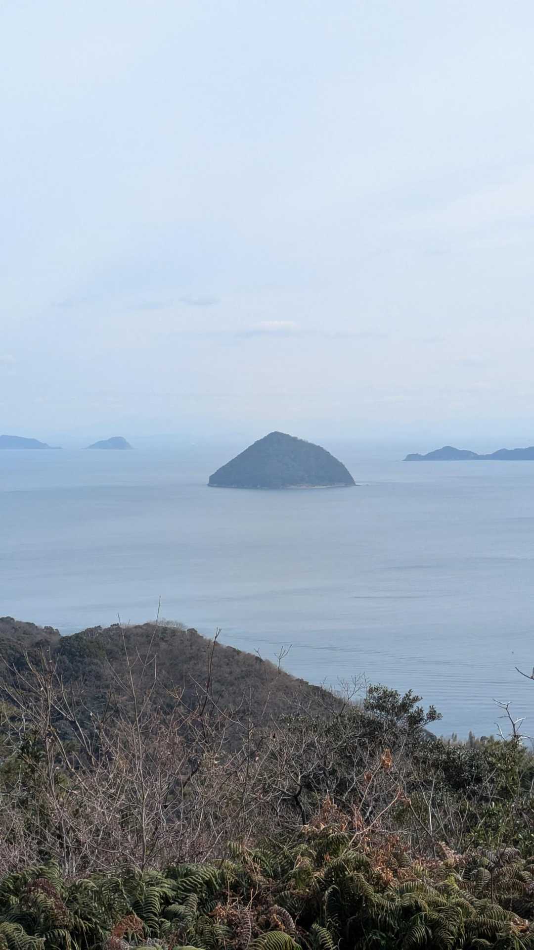 三角台登山道入口-三角台 往復コースの写真