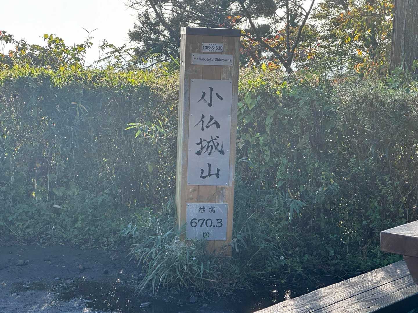 高尾陣馬ピストンコースの写真