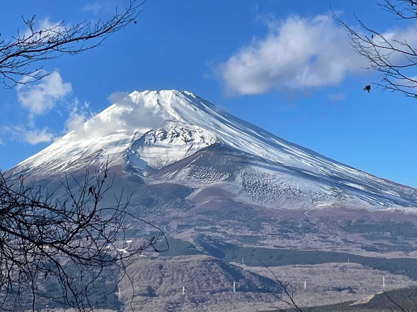 宝永山や爆裂火口がよく見えます✨