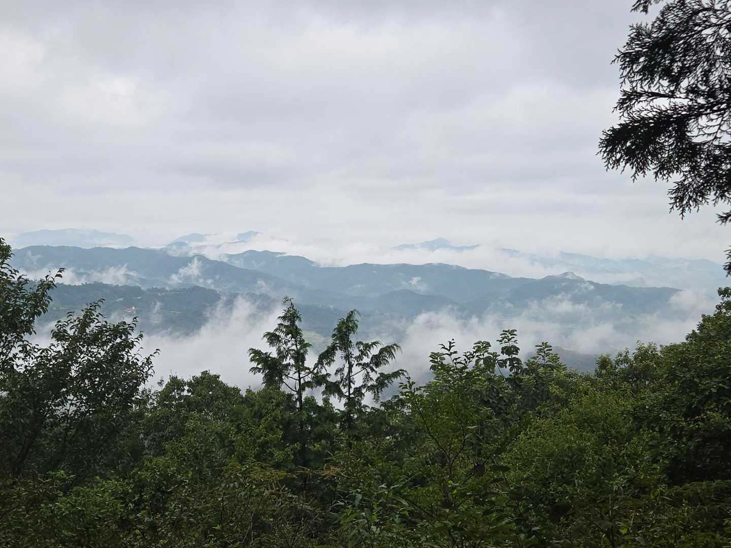 雲海の上の様な感じ。