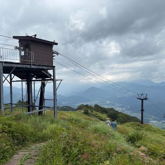 冬が待ち遠しいね