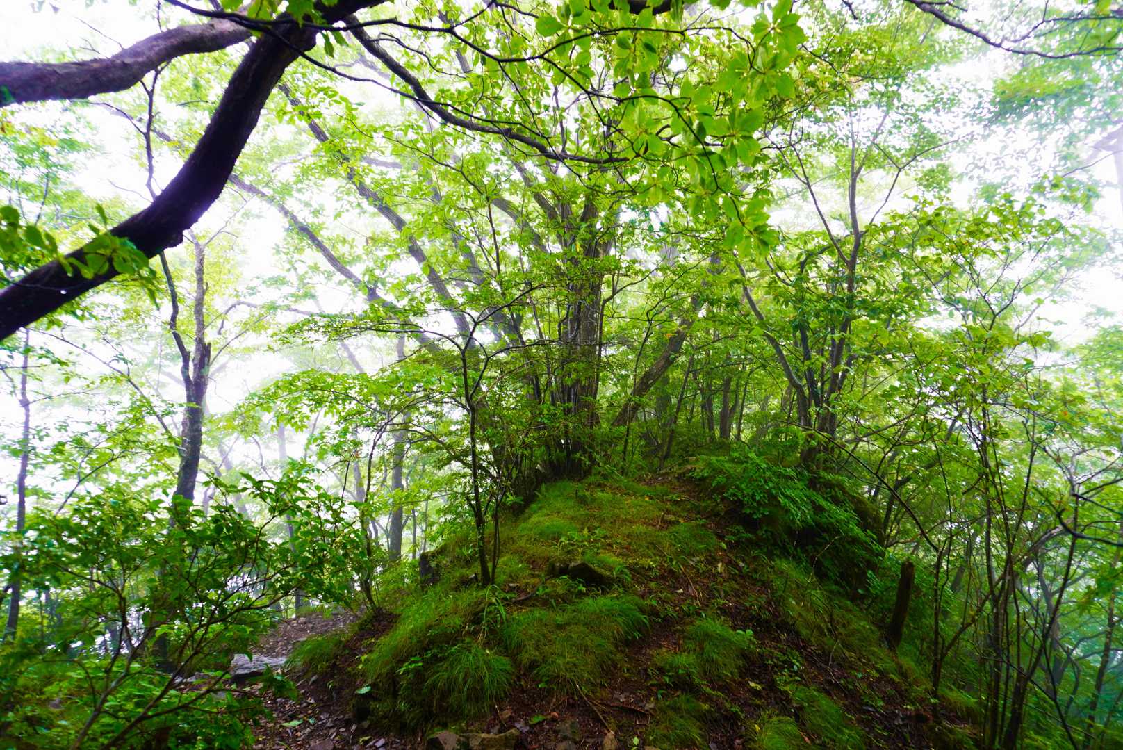磨墨峠-相馬山 往復コースの写真
