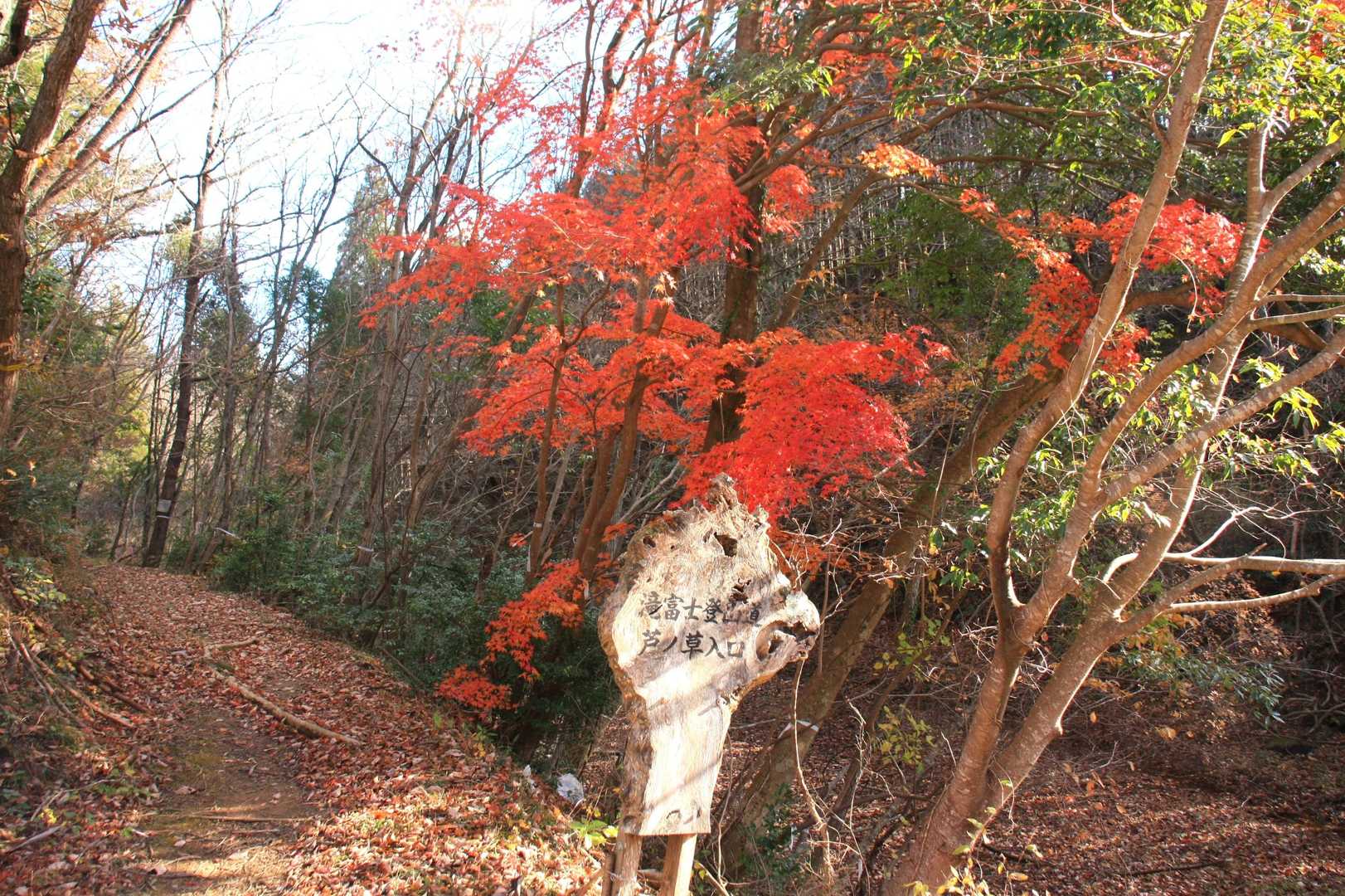 登山口。
ここから車道歩き。