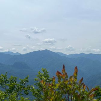 佐武流山？