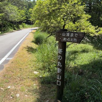 帰ってきました。大満足です。