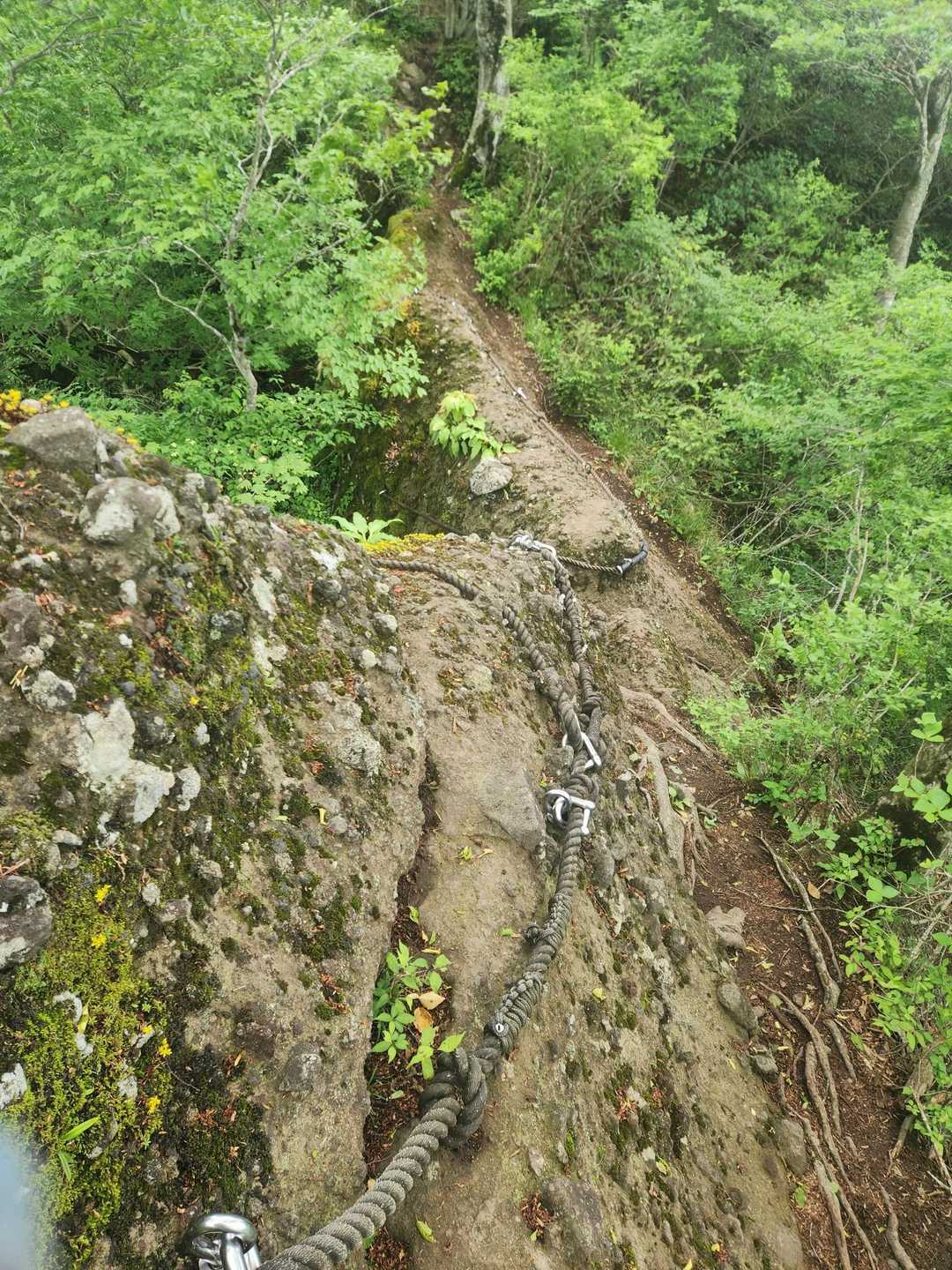 青葉山 縦走コースの写真