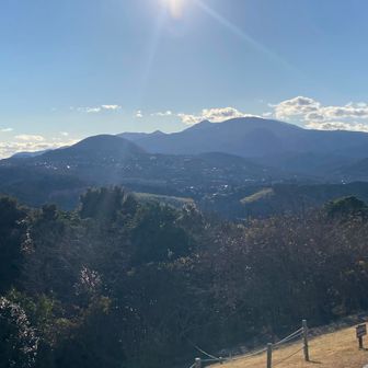 親しみの万二郎万三郎！パキラさんありがとう😭