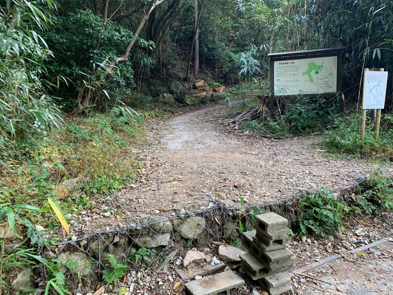 一気に下山。最後の九十九折の登山道は苦手です😓
贅沢に高速バスで大阪へ移動します🚌
