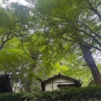 本山寺境内