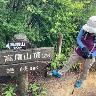四等三角点
山頂まで1.2kなんですが、標高差約300mあり