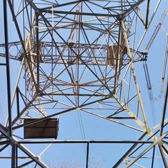 鉄塔まで緩く登ると林道に合流