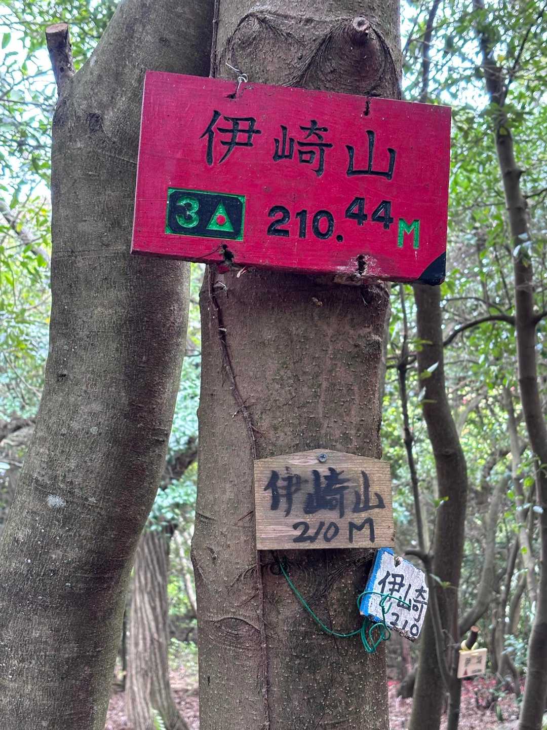 堀切港バス停-伊崎山 往復コースの写真