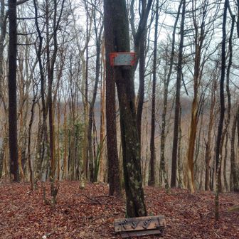 ボンジ山まで戻ってきた