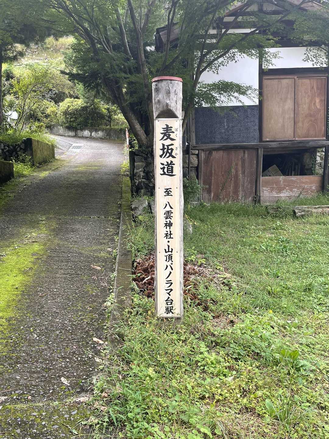 お腹もいっぱいになったので、弥三郎岳までお散歩に行きますか🚶
友人夫妻は昇仙峡遊歩道を散策後、ロープウェイ🚡
頂上駅で落ち合うことに
