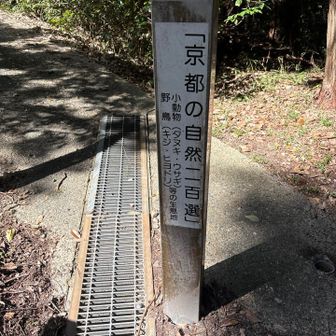 駐車場からスタート
