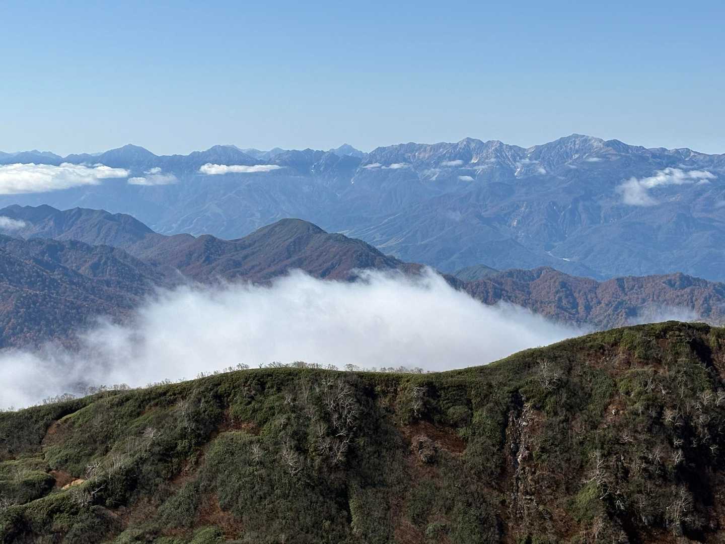 後立山連峰が目の前に🙌
左から鹿島槍、五竜、唐松、白馬鑓、杓子、白馬