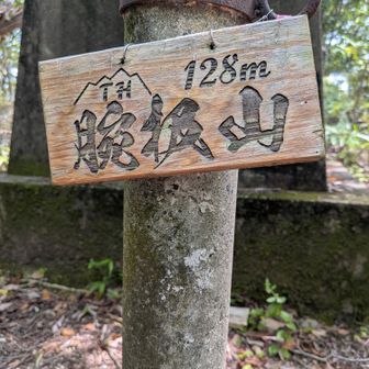 景色無し