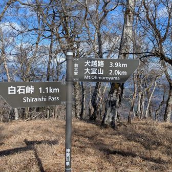 前大室到着！加入道山まであと少し