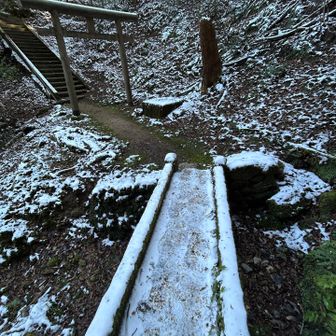 橋を渡るときは慎重