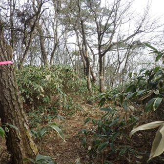 大蔵ヶ岳頂上着