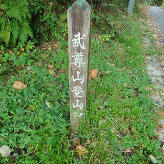 登山口となってますが、林道歩いてからが登山口だと思います(笑)